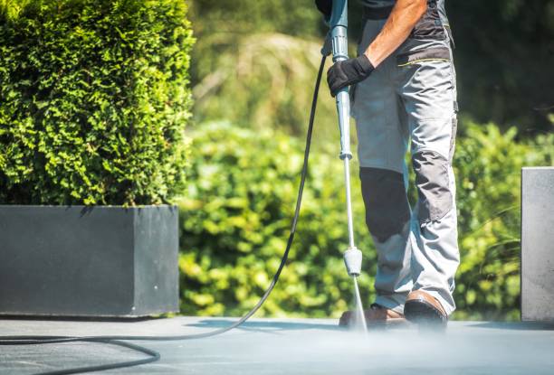 Best Driveway Pressure Washing  in Pitcairn, PA